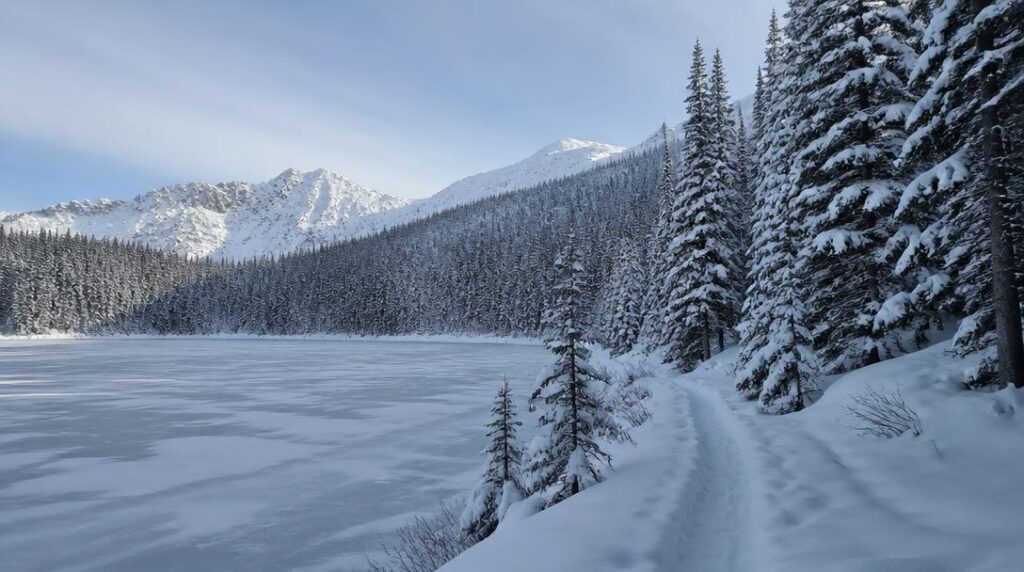 Lac gelé bordé de forêt pour randonnée raquettes